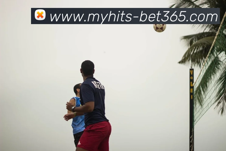 多媒体互动体验